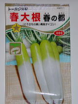 大根種(春の都)