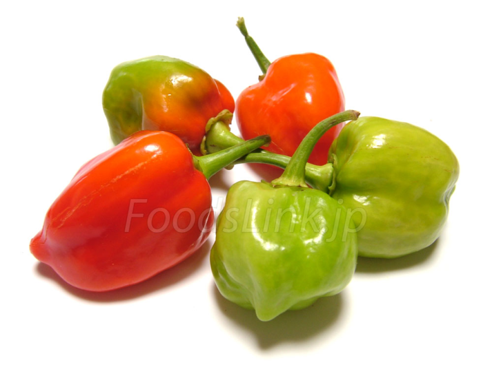 ハバネロ 英語 Habanero Chilli