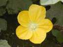 gEK̉